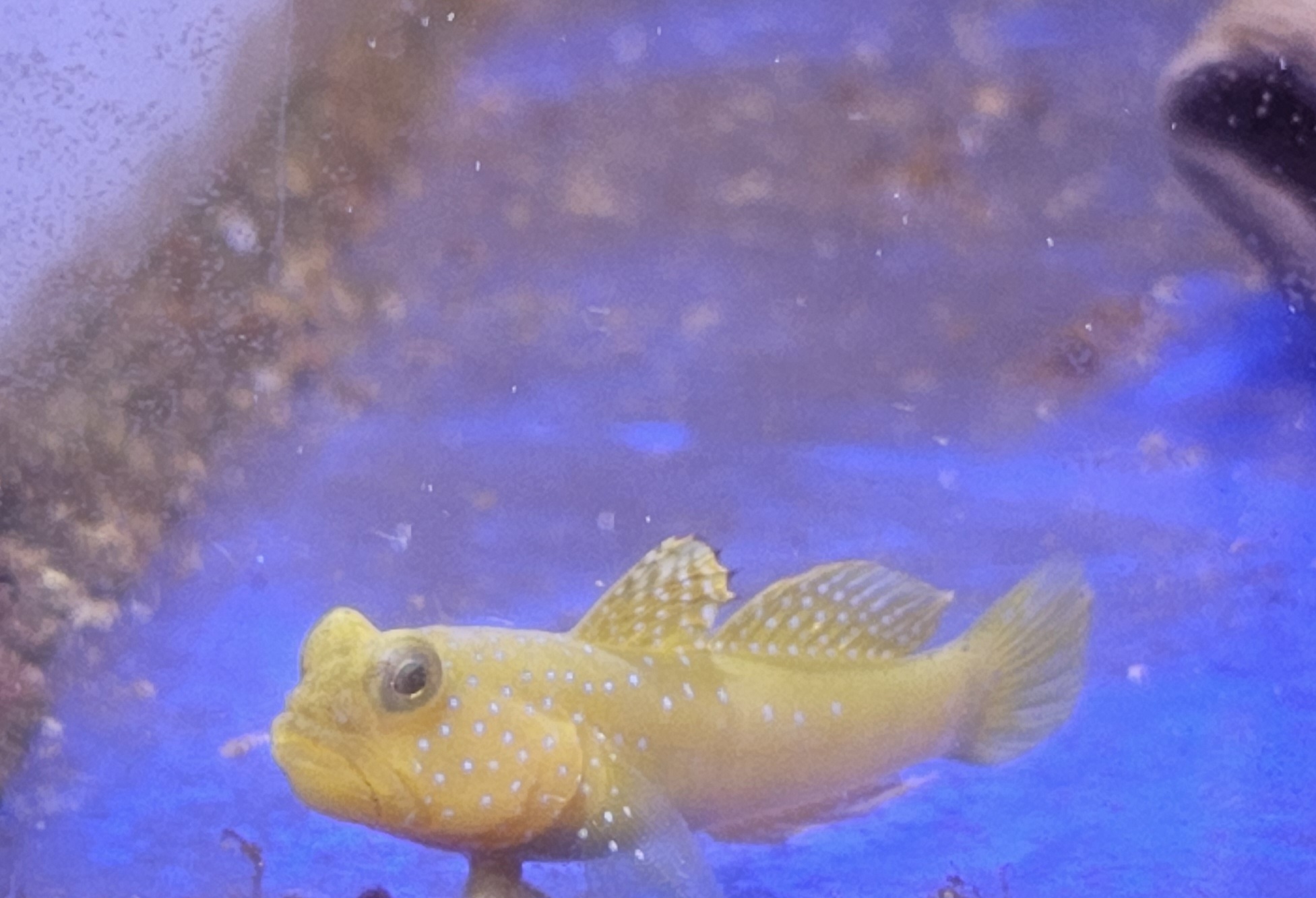 Tengeri friss érkezés március 2026 2. hét