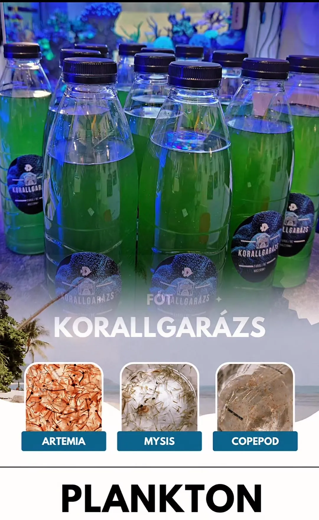 Zöld fitoplankton Korallgarázs címkés palackokban, alatta Artemia, Mysis és copepoda eleség képe - élő plankton kínálat Fóton