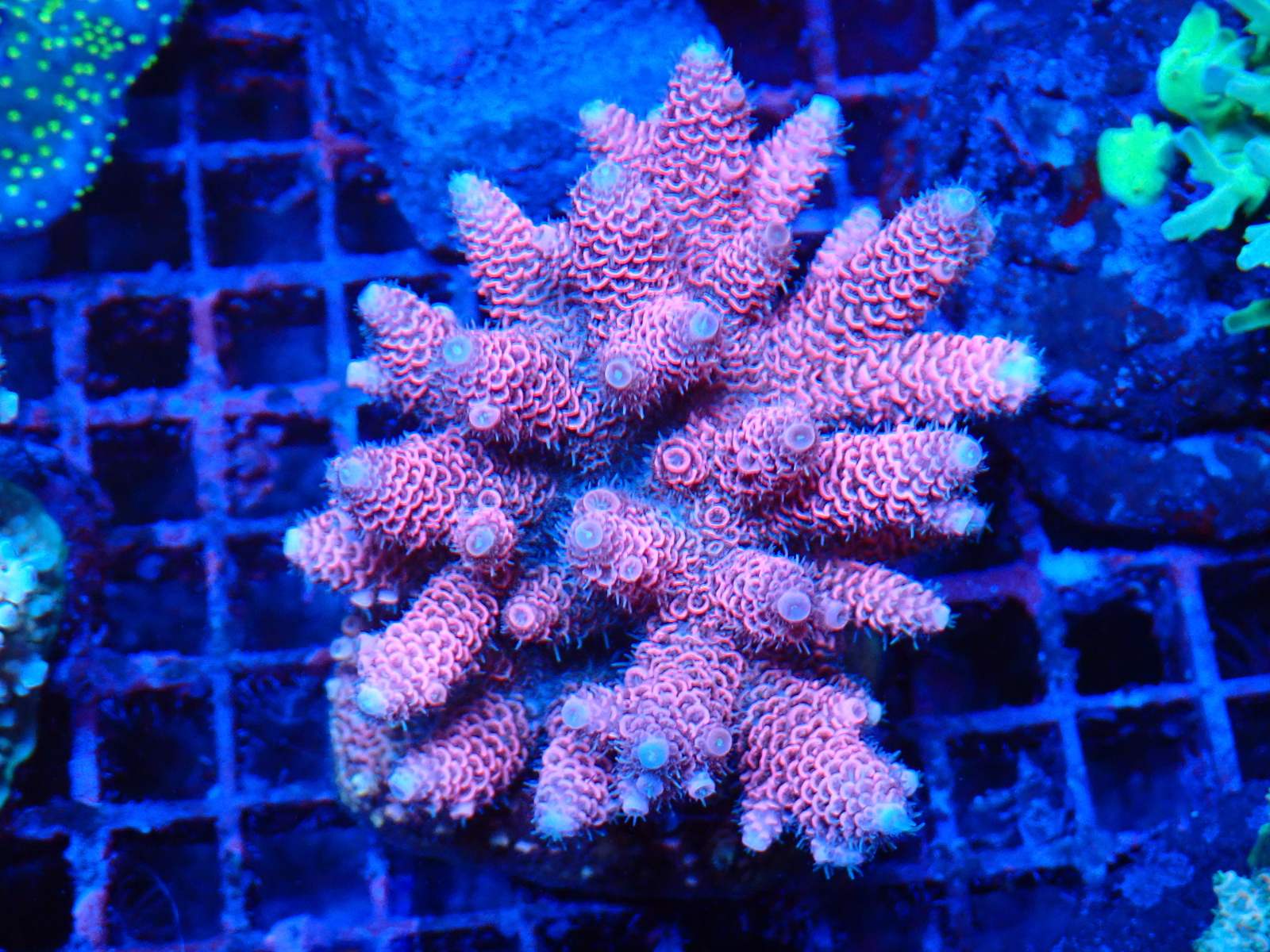 Naphal tengeri március 2026 1. hét